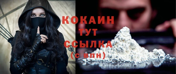 бошки Аркадак