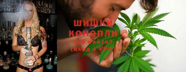 твердый Арсеньев
