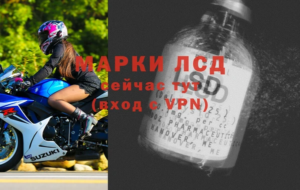твердый Арсеньев