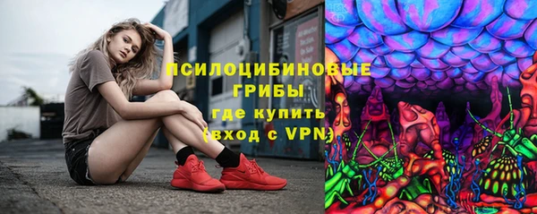 бошки Аркадак