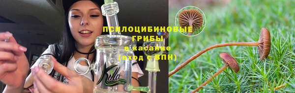 твердый Арсеньев