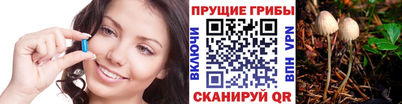 Псилоцибиновые грибы Psilocybine cubensis  мега онион  Балахна 
